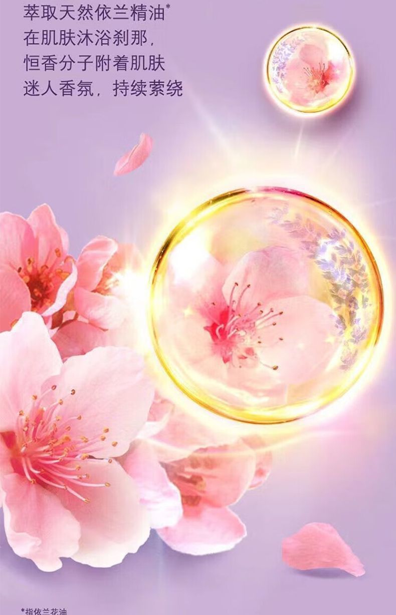 【200G袋装】清扬去屑止痒樱花沁爽活力运动洗发水樱花香氛沐浴露详情10