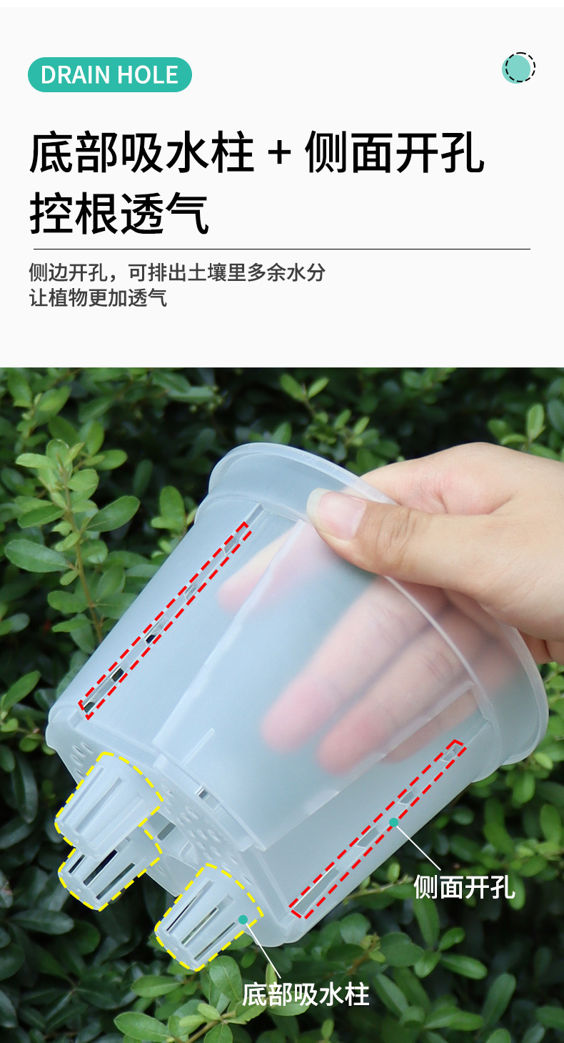 新款储水透明青山盆自吸水懒人盆控根盆朱顶红蝴蝶兰塑料花盆批发详情10