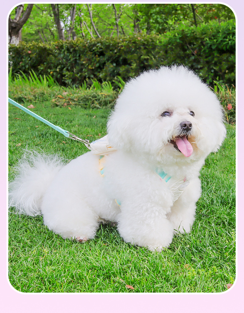 New dog leash, pet chest and shoulder strap, small Bichon Frise Pomeranian three-piece set, vest-style shoulder strap, dog leash pic 17