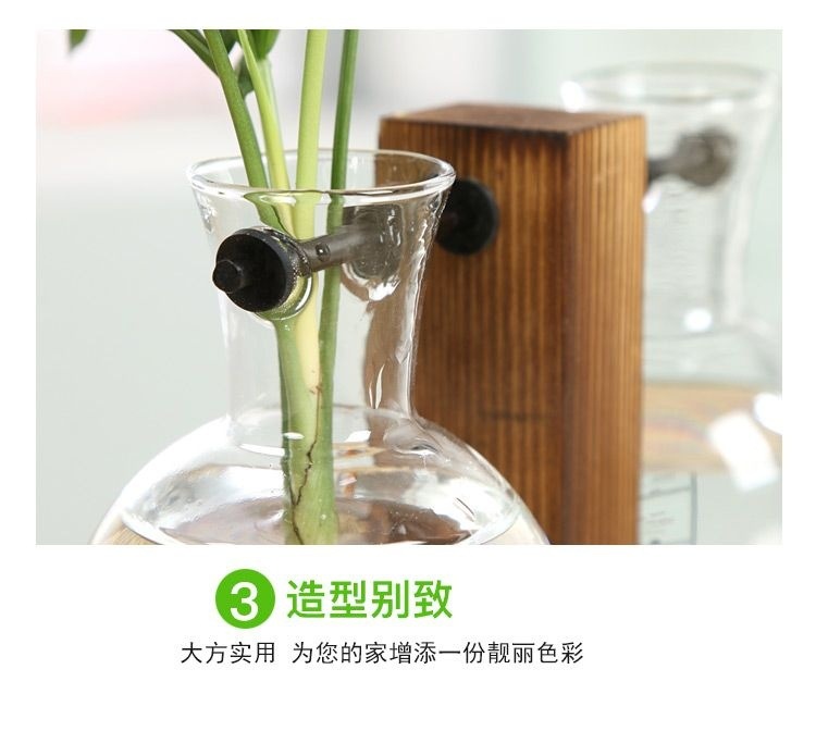 简约创意玻璃瓶花瓶木架水培绿萝植物透明桌面摆件装饰品详情6