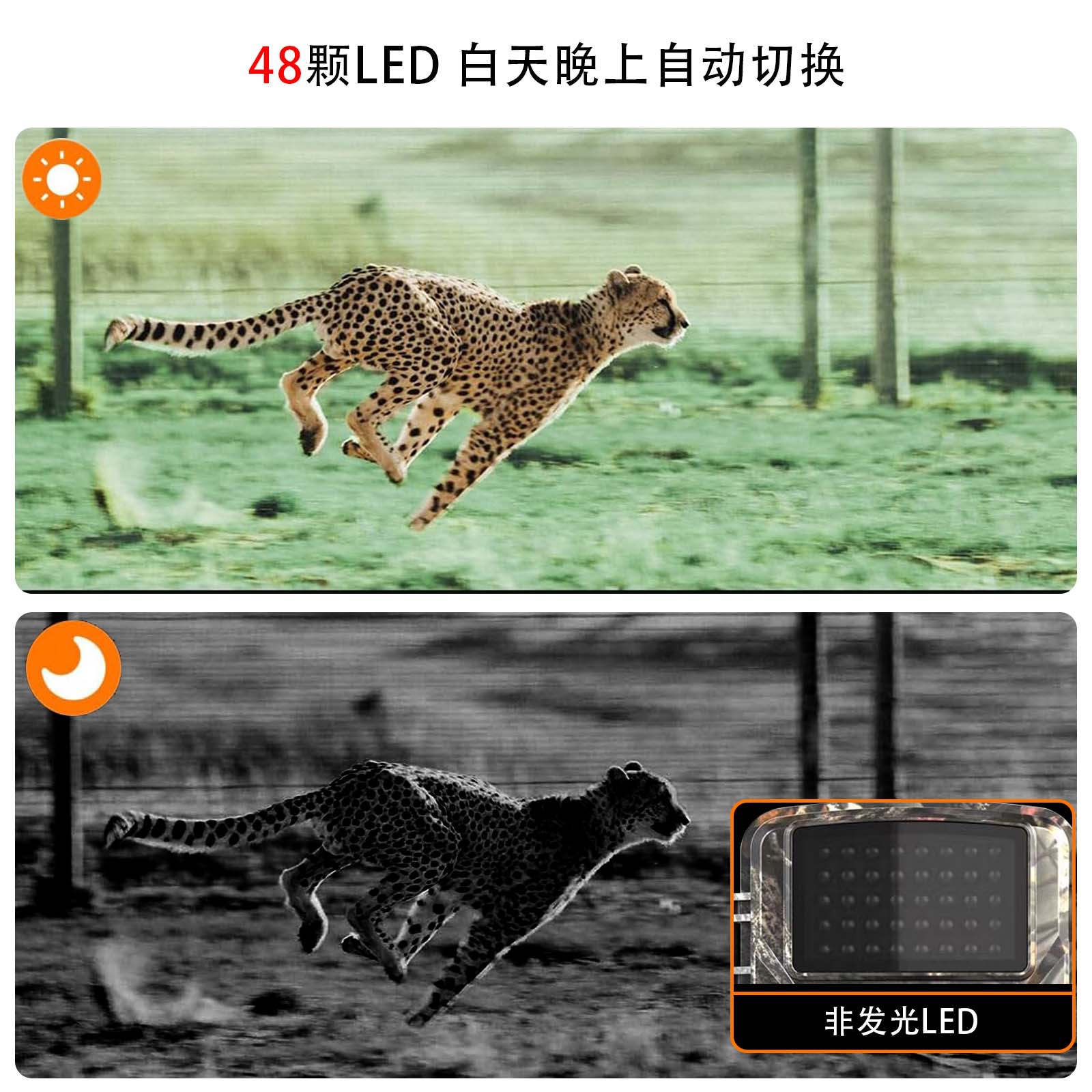 Source supplier: Cross-border outdoor high-definition camera, hunting high-definition waterproof camera, infrared thermal sensor IP66 pic 5