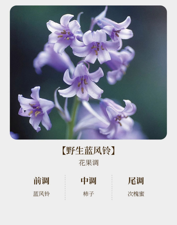 竹子香薰蜡烛室内家用持久香氛大豆蜡创意竹你平安家居摆件伴手礼详情19