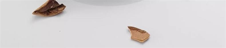 德国淋浴增压花洒喷头浴室热水器浴霸通用高压淋雨莲蓬花洒头详情18