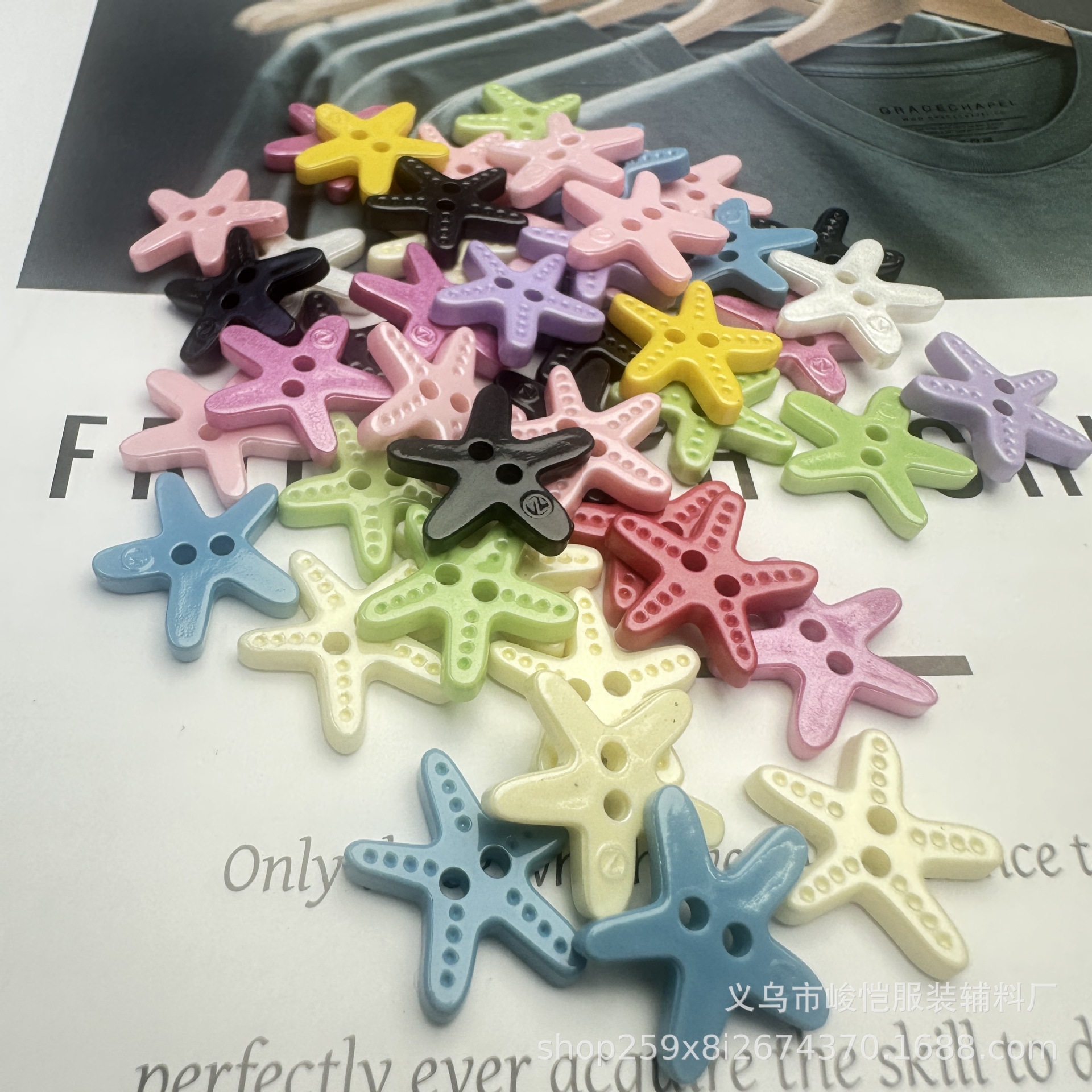 diy木质饰品配件 三色贝壳 海星等海洋动物挂饰木片 家居装饰贴片详情5