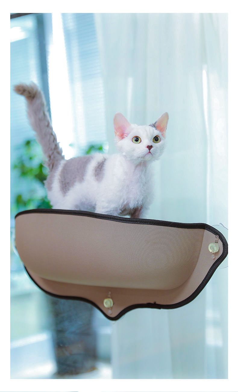吸盘猫窝 猫吊床猫咪窝晒太阳窗台可拆猫咪挂床 eva半圆型 宠物窝详情7