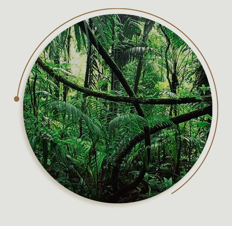 藤编收纳筐水果篮家用馒头筐竹编面包筐馍筐零食野餐篮筐手编篮子详情20