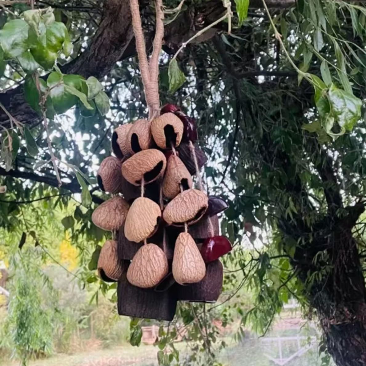 A complete set of diy materials for fruit shell wind chime pendants, handcrafted fruit mixed three-fruit hand-cranked bells pic 3