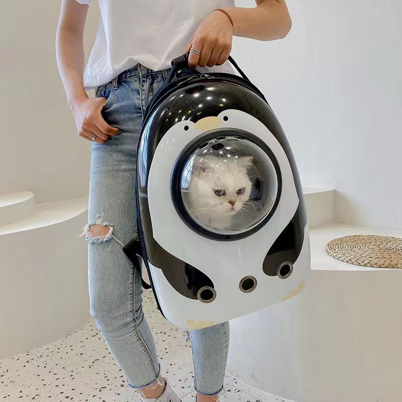 双肩猫包舒爽风扇款宠物包蛋壳大空间外出猫猫包侧开透气一件代发详情15