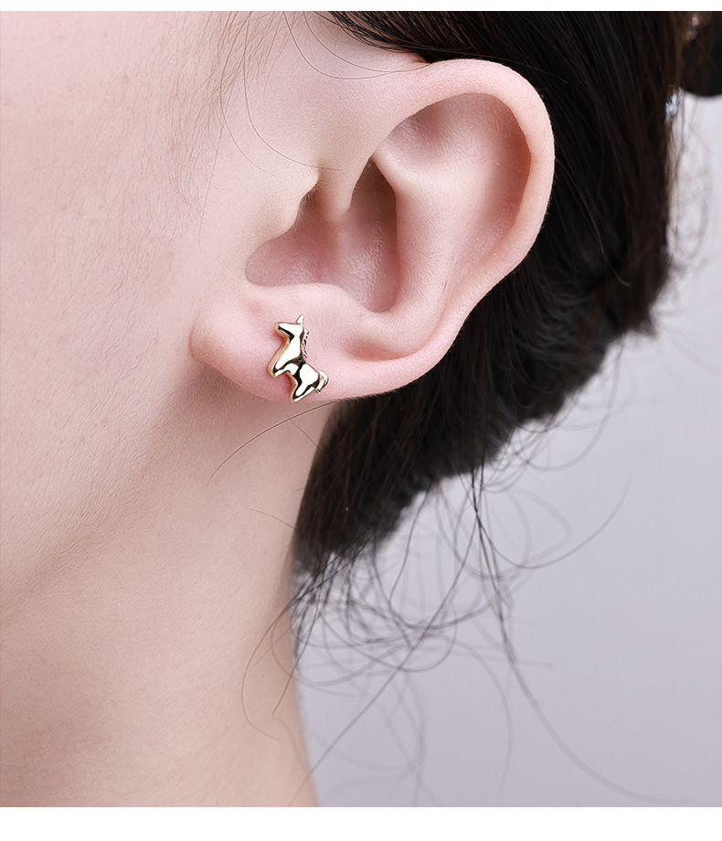 Zhuoheng Select New AliExpress earrings, European and American cross-border S925 silver inlaid hip-hop style stud earrings, high-end and light luxury earrings pic 9