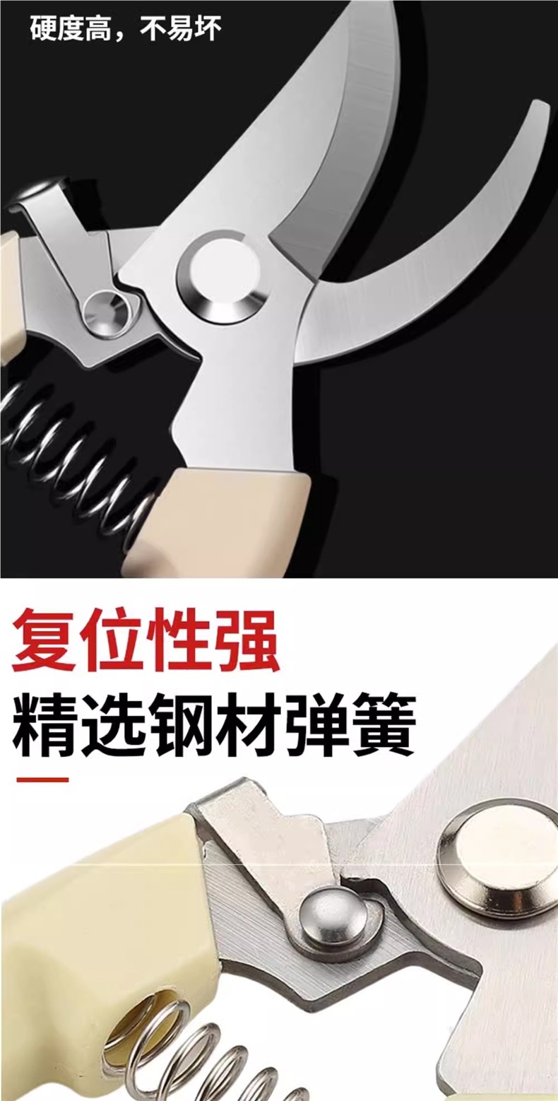 剪枝果树修枝剪刀园艺园林修花枝剪家用花剪剪枝花卉剪刀详情2