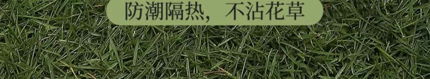 加厚野餐垫防潮垫户外地垫便携户外露营野炊防水春游帐篷草坪坐垫详情8