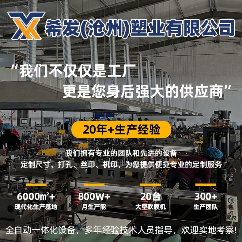 Wholesale of source food sealed bags in stock, thickened sealed bags, plastic jewelry packaging bags, transparent pe self-sealing bags pic 1