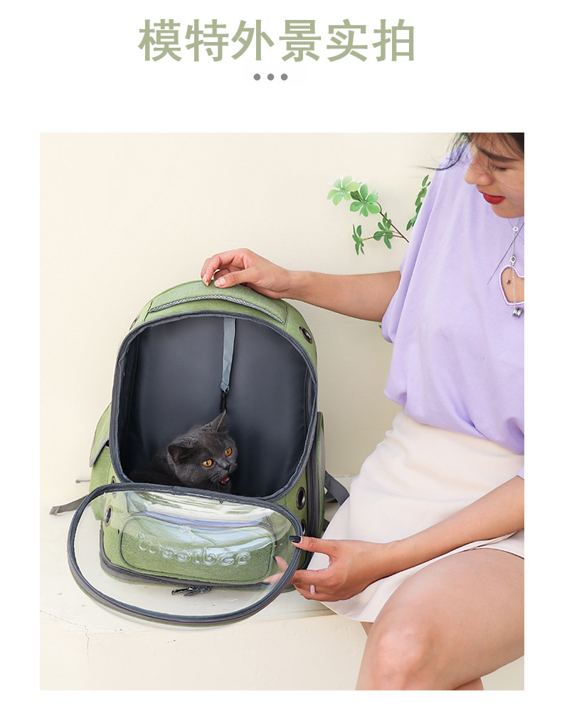 Portable and breathable cat bags for going out, space pet cabin, double-shoulder cat backpack, cat cage, dog and cat schoolbag, cat supplies pic 9