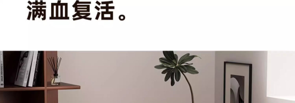 网红牛皮老板椅商务家用舒适办公椅子办公室座椅人体久坐电脑椅办公椅椅子人体工学椅详情8