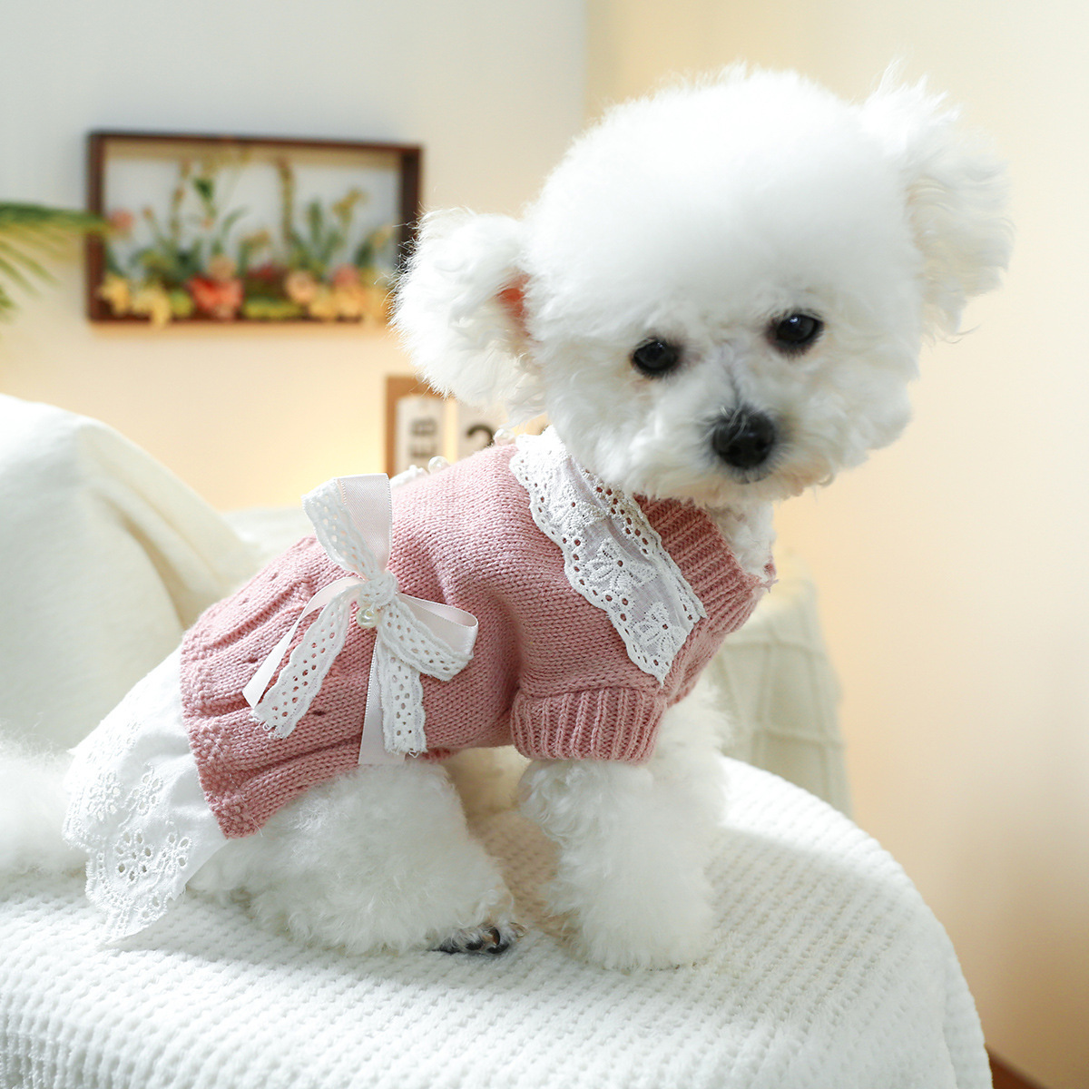 T Elegant princess cat and dog clothes, pet dog and cat warm and comfortable home clothes for autumn and winter, dog clothes, pet skirts pic 7