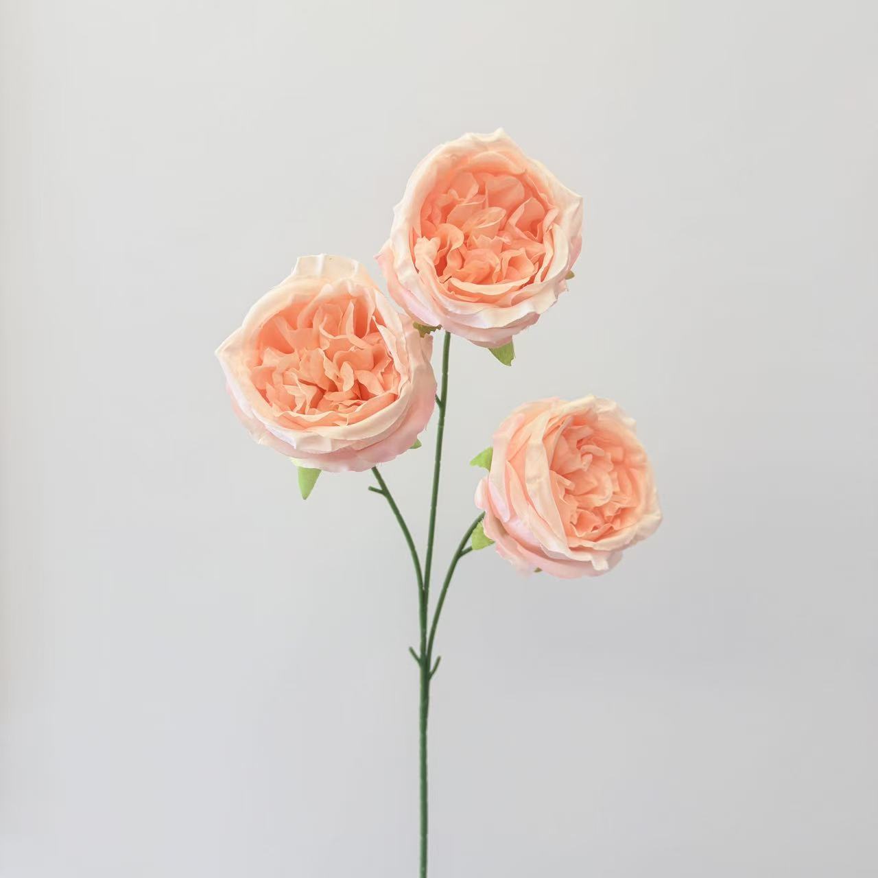 仿真花3头奥斯汀玫瑰花婚庆用花仿真玫瑰花假花婚庆地排花艺装饰详情15