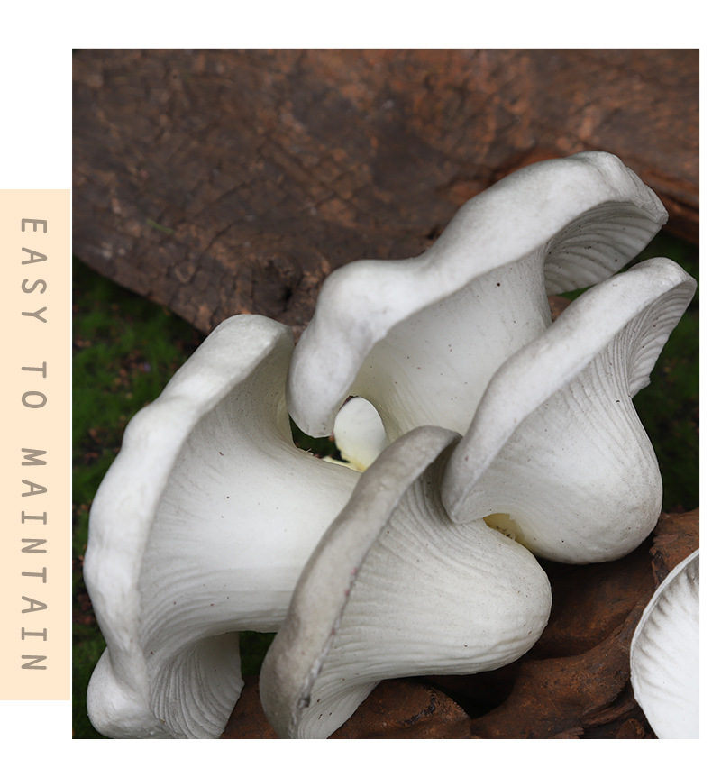 仿真白菜娃娃菜小白菜蔬菜橱柜早教摆件蔬菜道具玩具模型仿真果蔬食物道具详情8