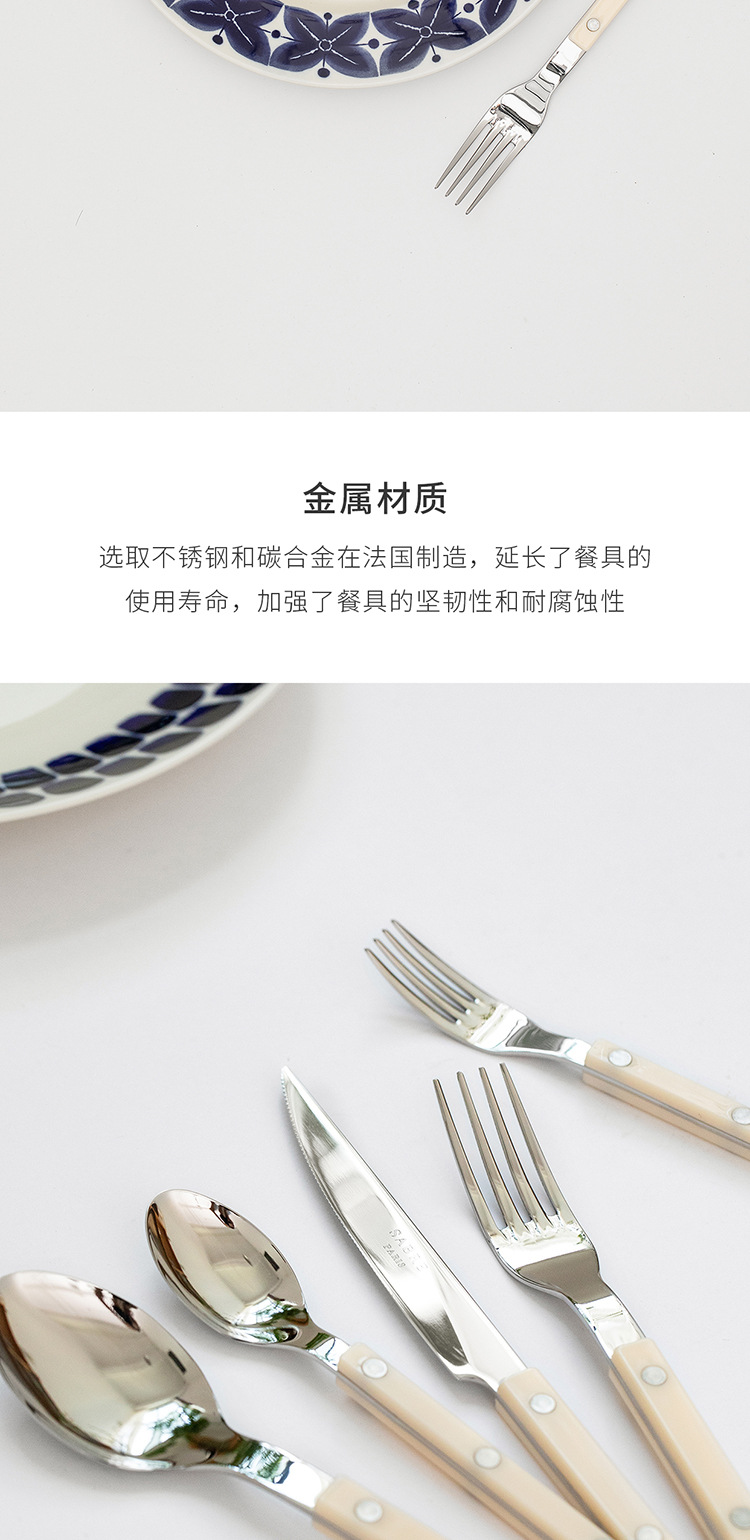 【官方正品】法国进口Sabre Paris西餐牛扒刀叉勺简约不锈钢餐具详情8