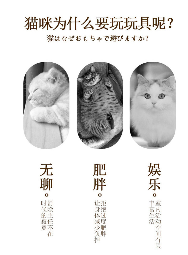 电动猫咪玩具智能逗猫解闷羽毛小猫玩具自动旋转USB猫转盘亚马逊详情5