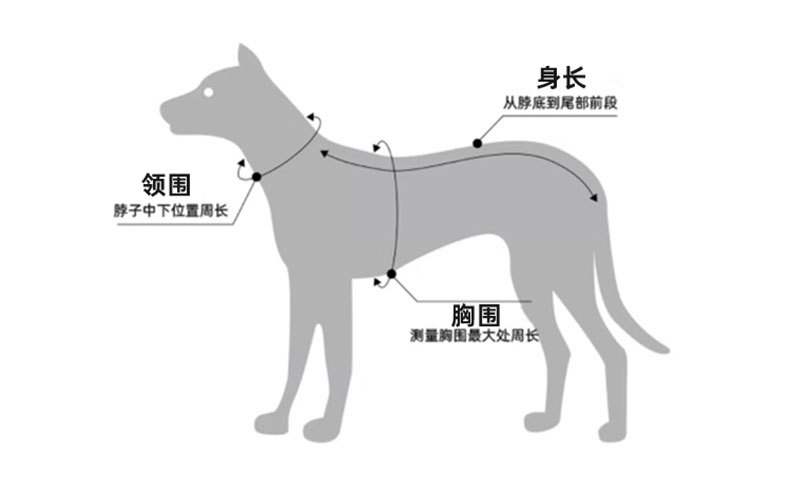 跨境宠物雨衣中大型犬金毛萨摩阿拉斯加防水四脚雨衣狗狗连帽雨衣详情18
