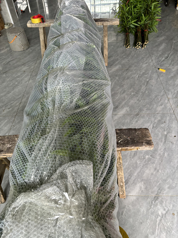 仿真竹子室内装饰隔断屏风假竹子挡墙造景绿植盆栽细水竹办公文化园艺仿真枝叶树详情39