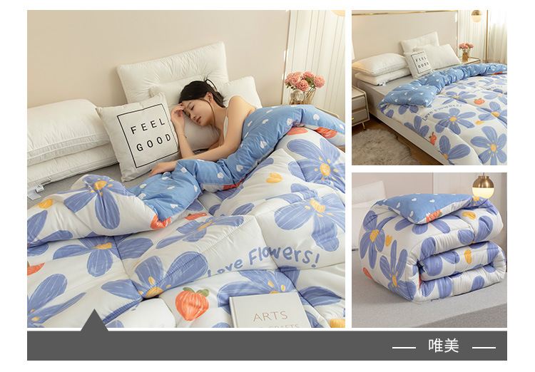 Wholesale of spring and autumn quilts, thickened and warm winter quilts, and single and double student winter quilts for all four seasons pic 5