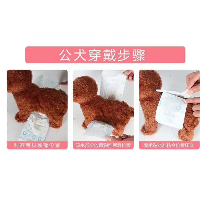 Dog diapers, Teddy sanitary pants, sanitary napkins, male dog diapers, menstrual pants, anti-disturbance pet diapers pic 3