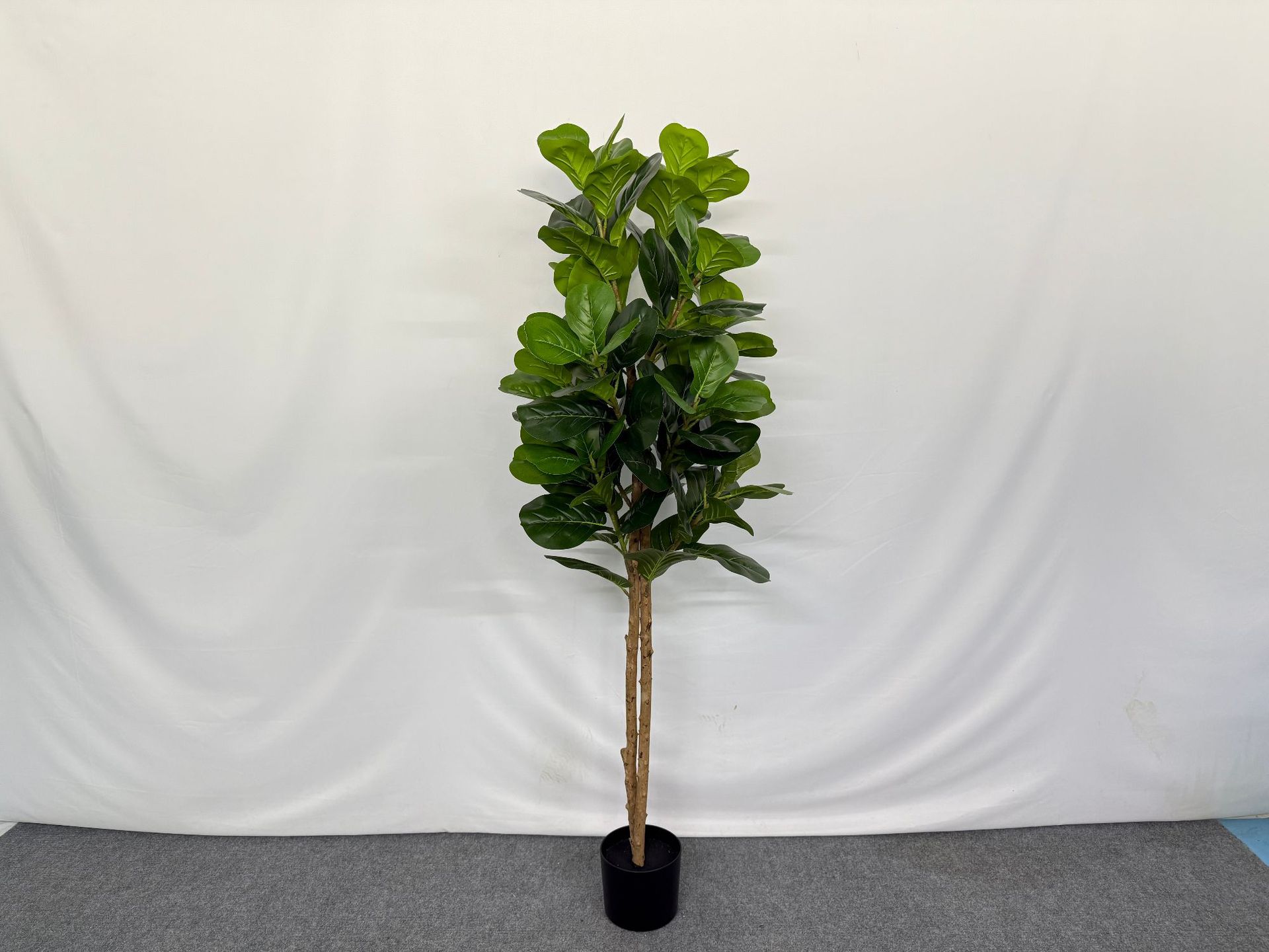 Simulated new style Ficus lyrata potted plant, large home floor-standing decorative item, green plant for homestay and shopping mall decoration, Ficus lyrata pic 7