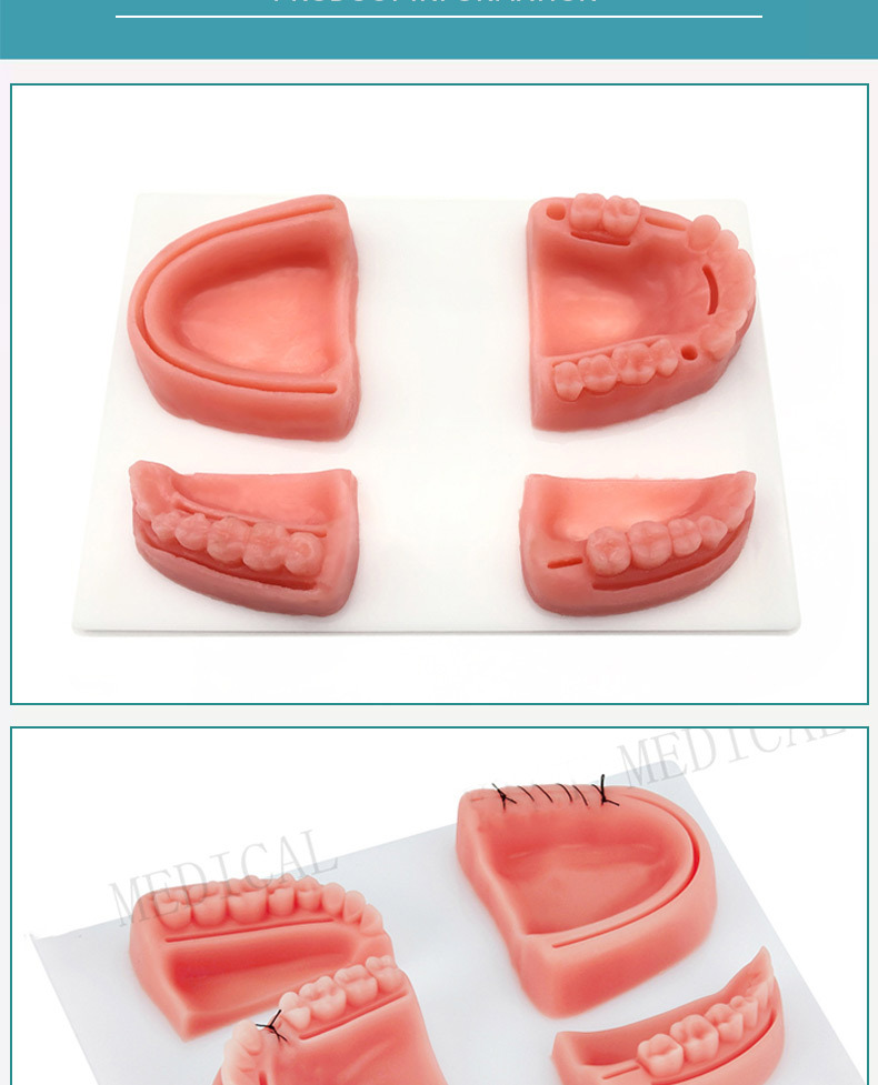 Dental suture set practice model, medical student supplies, suture needles, oral module, surgical training simulation combination set pic 13