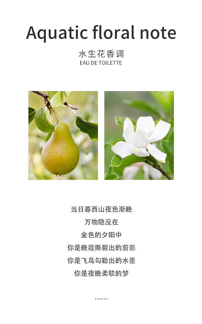 香水玻璃空瓶500ml玻璃酒瓶罐头瓶软木塞详情20