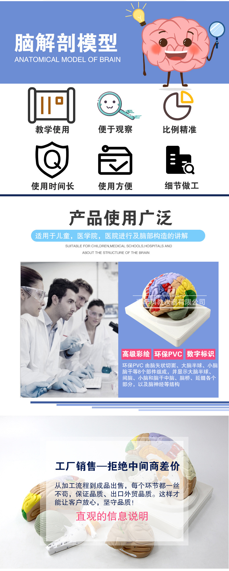 Qinghua 4D Assembly Brain Anatomy Model, human brain anatomy, cerebrovascular artery, nerve, medical science and education model pic 3