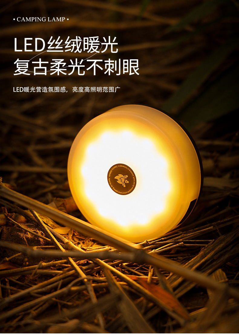 新款户外露营灯帐篷卷尺LED灯串挂灯照明灯具营地灯氛围灯野营灯详情5