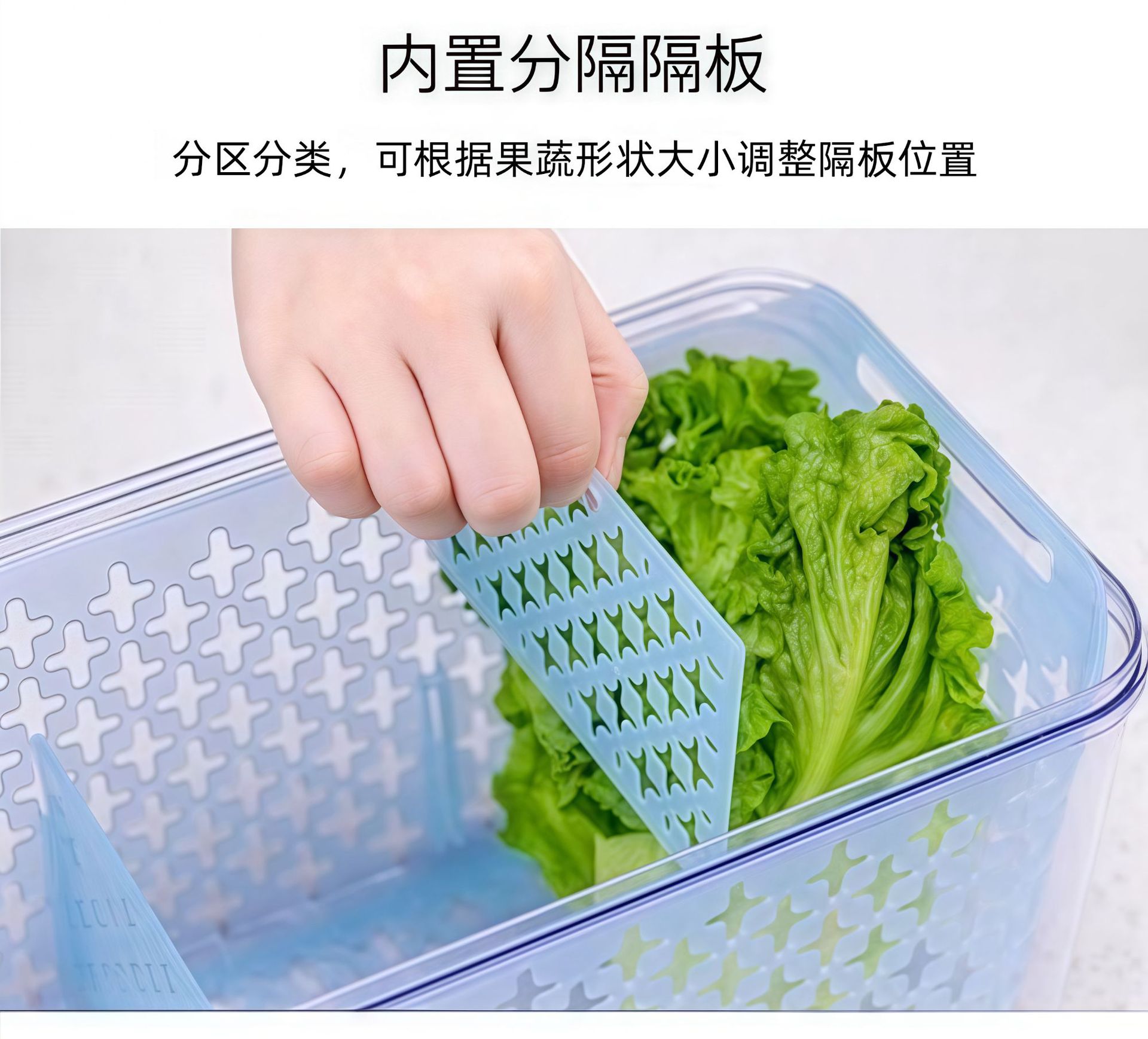 不锈钢304彩色果蔬保鲜盒冰箱收纳盒饺子云吞速冻盒透明储物箱可移动底座详情5