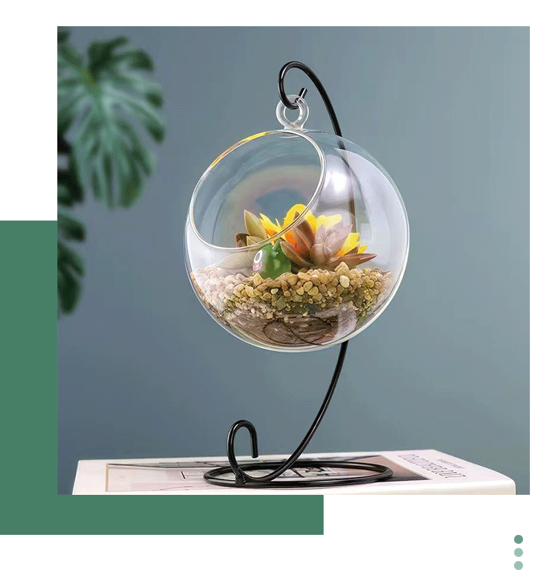 Micro-landscape ecological bottle, transparent glass hanging succulent plant moss hanging bottle, diy handcrafted green plant landscape vase pic 5