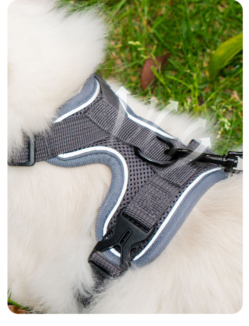 Cat leash vest pet chest and back strap cat walking rope chest and back anti-escape cat leash breathable anti-escape pic 5