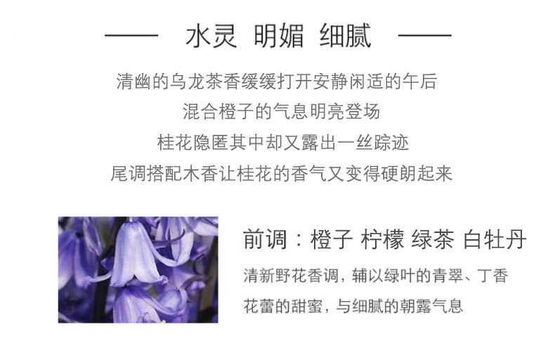 无火香薰伴手礼盒精油藤条散香清新空气室内酒店家用香氛摆件批发详情7