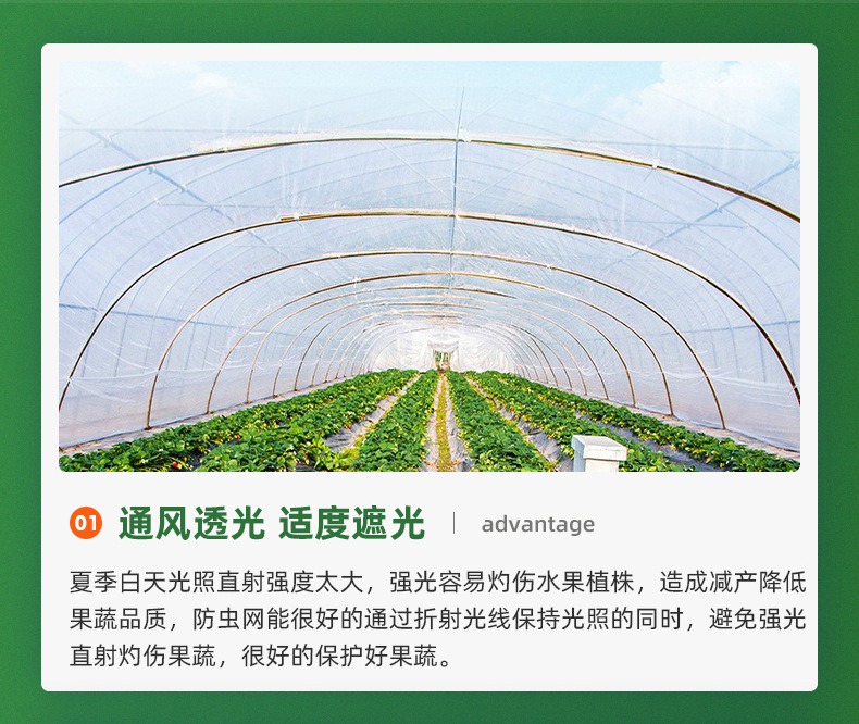 聚乙烯防虫网代发大棚防虫网60目果园防虫网罩跨境裁片防虫网详情5