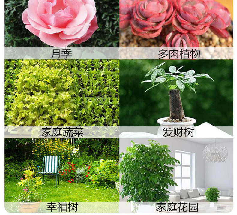 杀虫水乳剂批发绿植月季多肉花草除虫喷雾灭小飞虫药500ml杀虫剂详情13