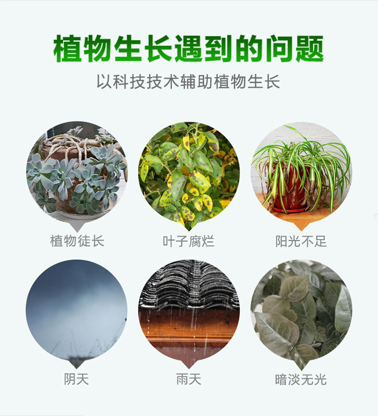 The clamps succulent supplementary light, indoor green plant and flower imitation solar full-spectrum plant growth light, is specially designed for coloring pic 6