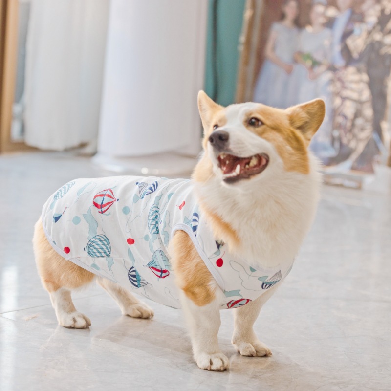 狗狗背心四季款宠物T恤可爱卡通狗狗服装印花中型犬幼犬现货批发详情23