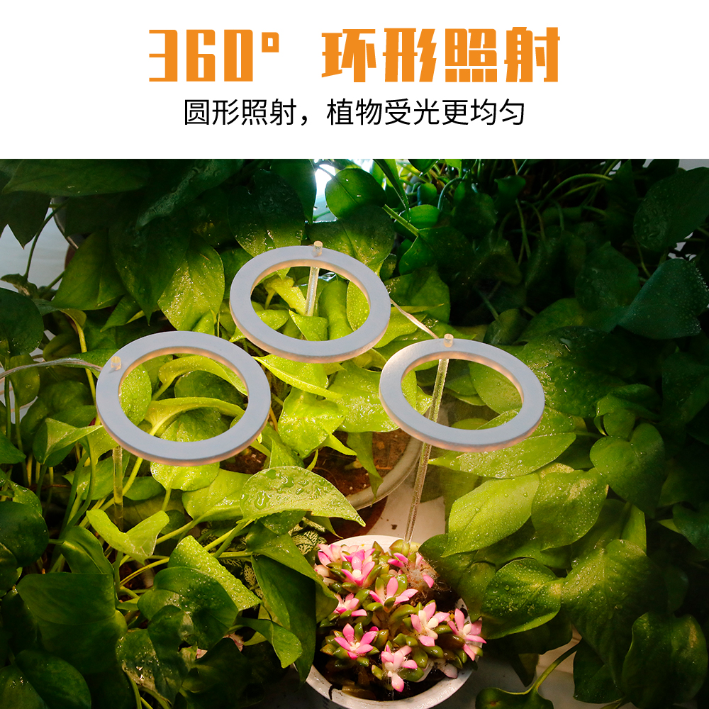 ♡ Energy-saving Angel Ring Plant Supplementary Light: LED Indoor Full-spectrum intelligent supplementary light for Bonsai and succulents pic 16