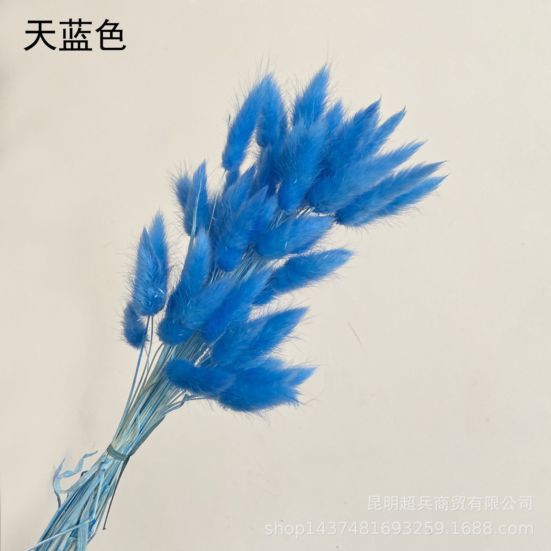 天蓝.jpg