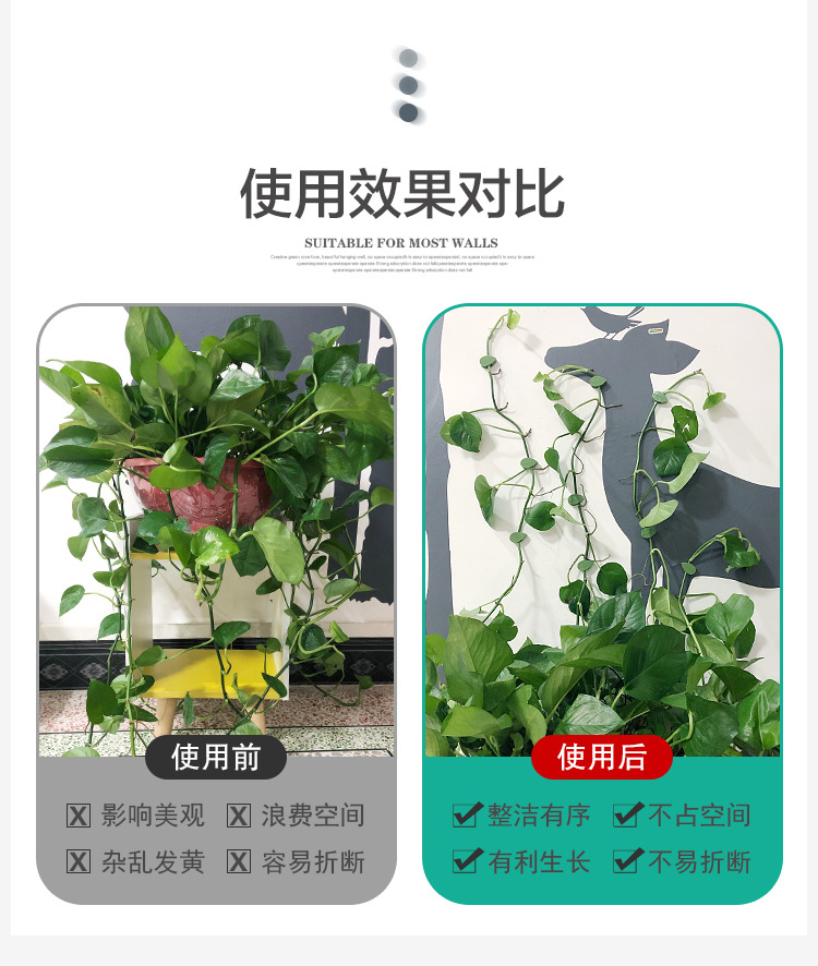树叶款绿萝固定器绿植爬墙神器墙面西瓜藤蔓固定夹无痕绿植固定器详情7