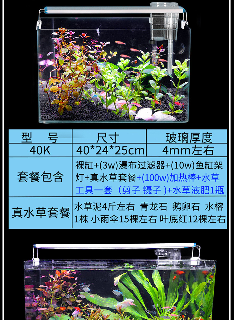 小型玻璃鱼缸桌面真水缸办公室鱼缸热带鱼金鱼生态迷你热弯鱼缸详情20