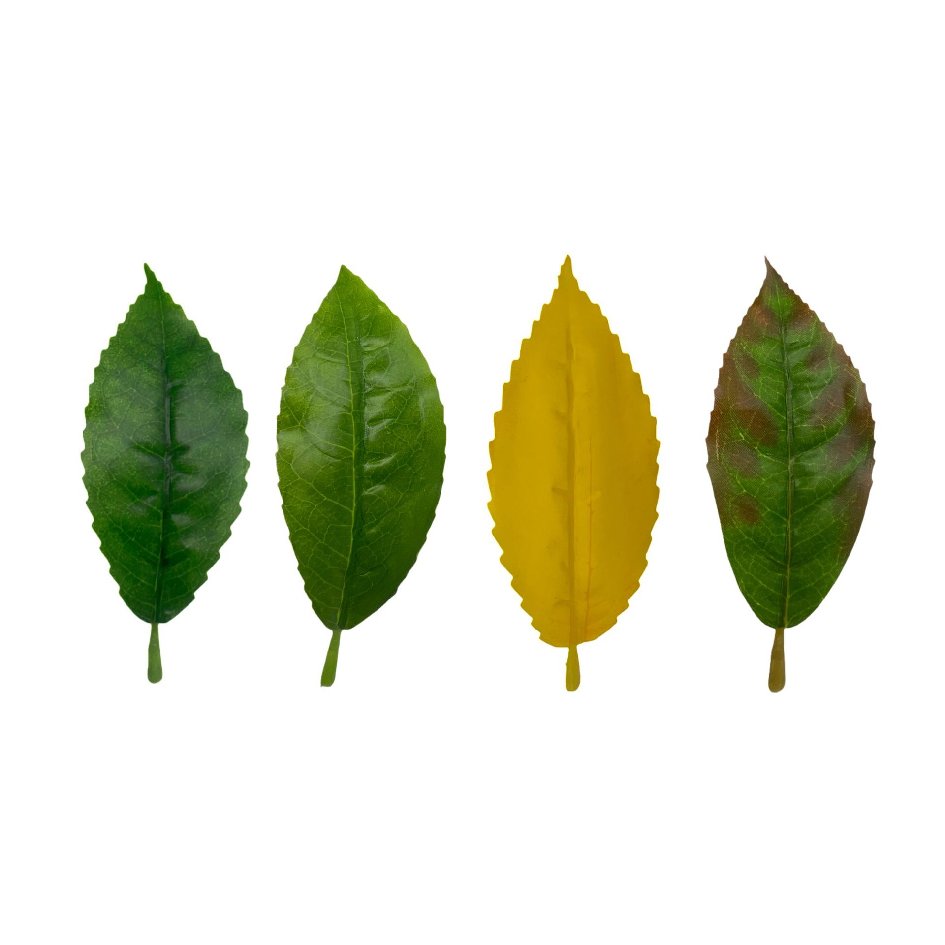 仿真红花油茶叶绿植单片毛尖茶叶绿茶大白茶红茶园林装饰摆设批发详情1