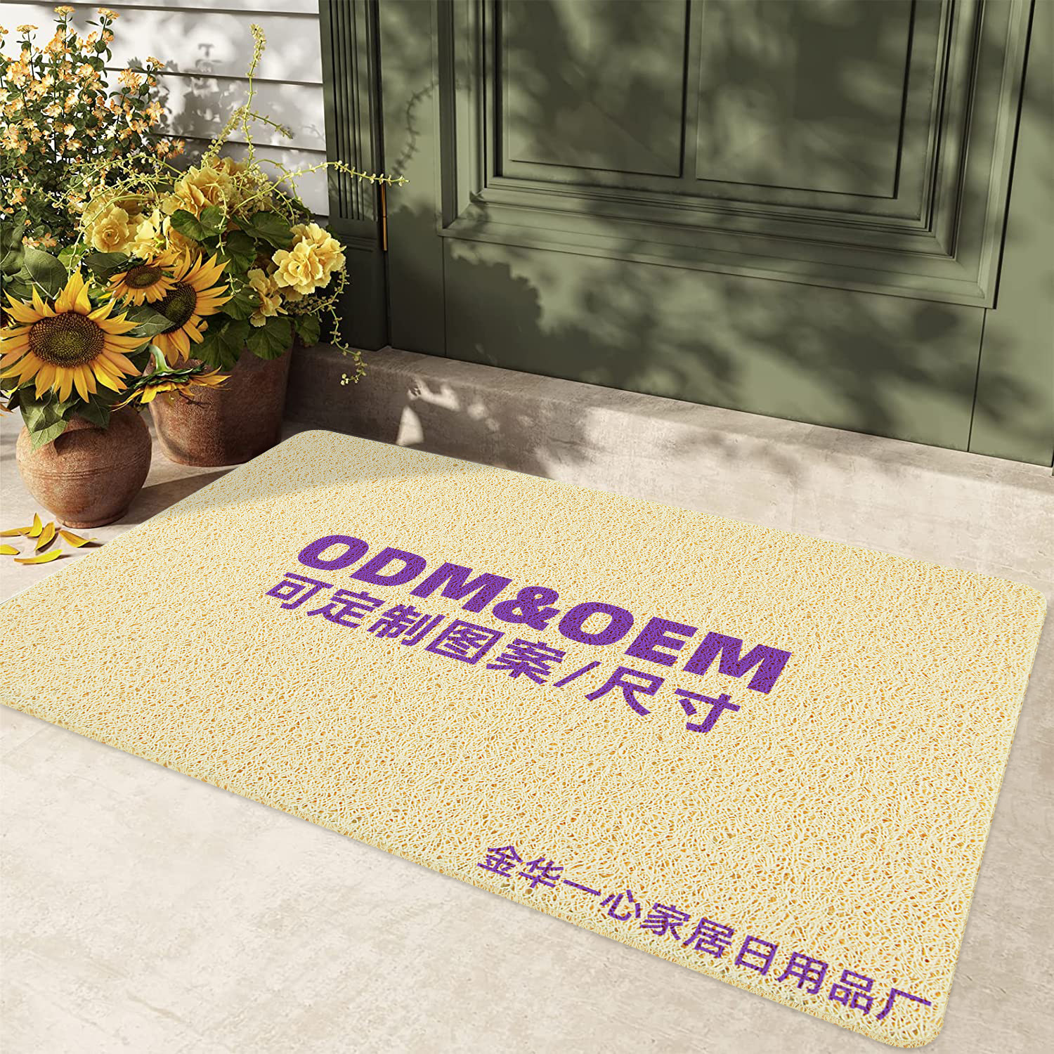 源头工厂进门入户门丝圈地垫定制门口家用防滑门垫跨境定做地毯详情1