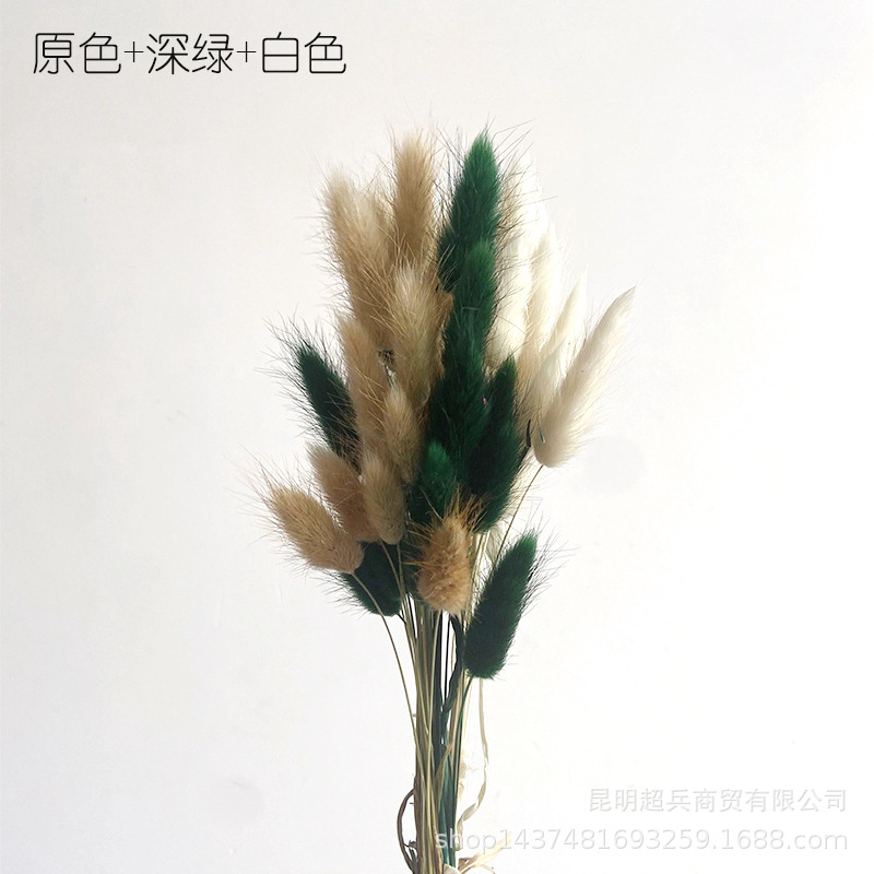 QQ图片20210611113520.jpg