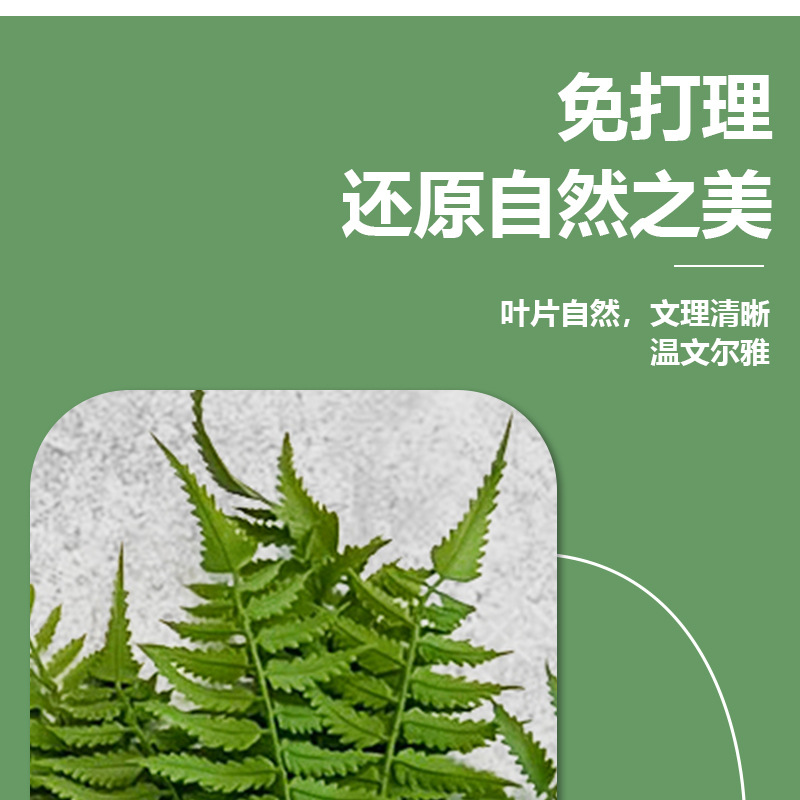 仿真蕨类100款绿植塑料叶场地绿化公园布景工程装饰酒店软装批发详情5
