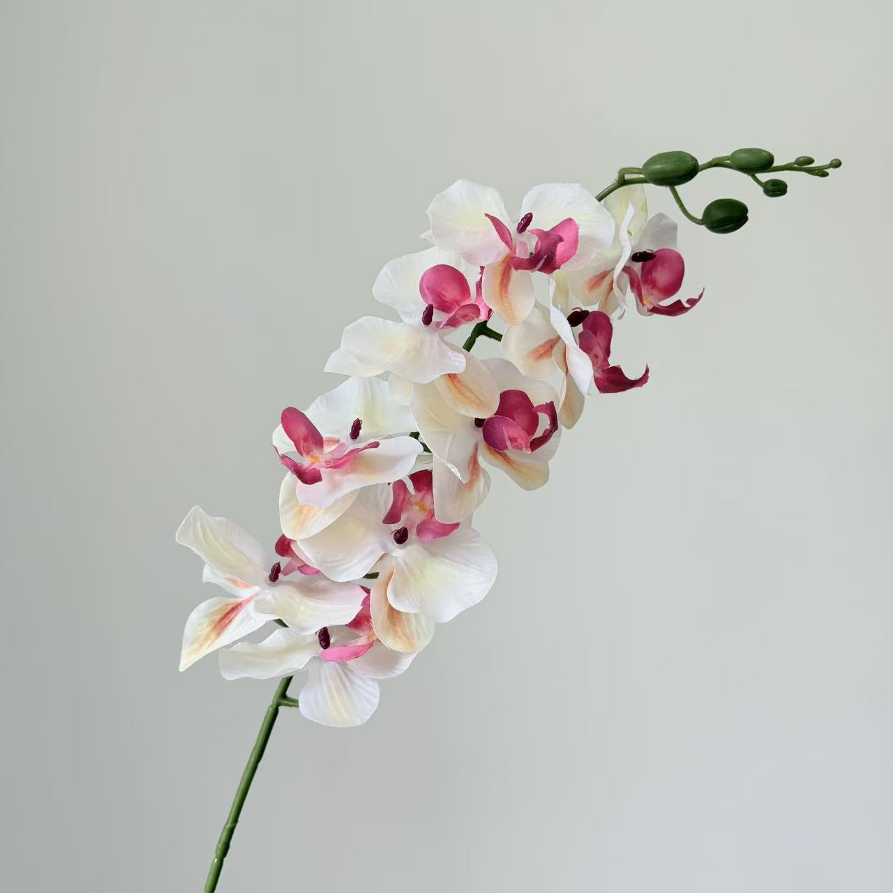 9头蝴蝶兰仿真花手感高级感逼真假花兰花艺场景布置酒店婚庆用花详情33