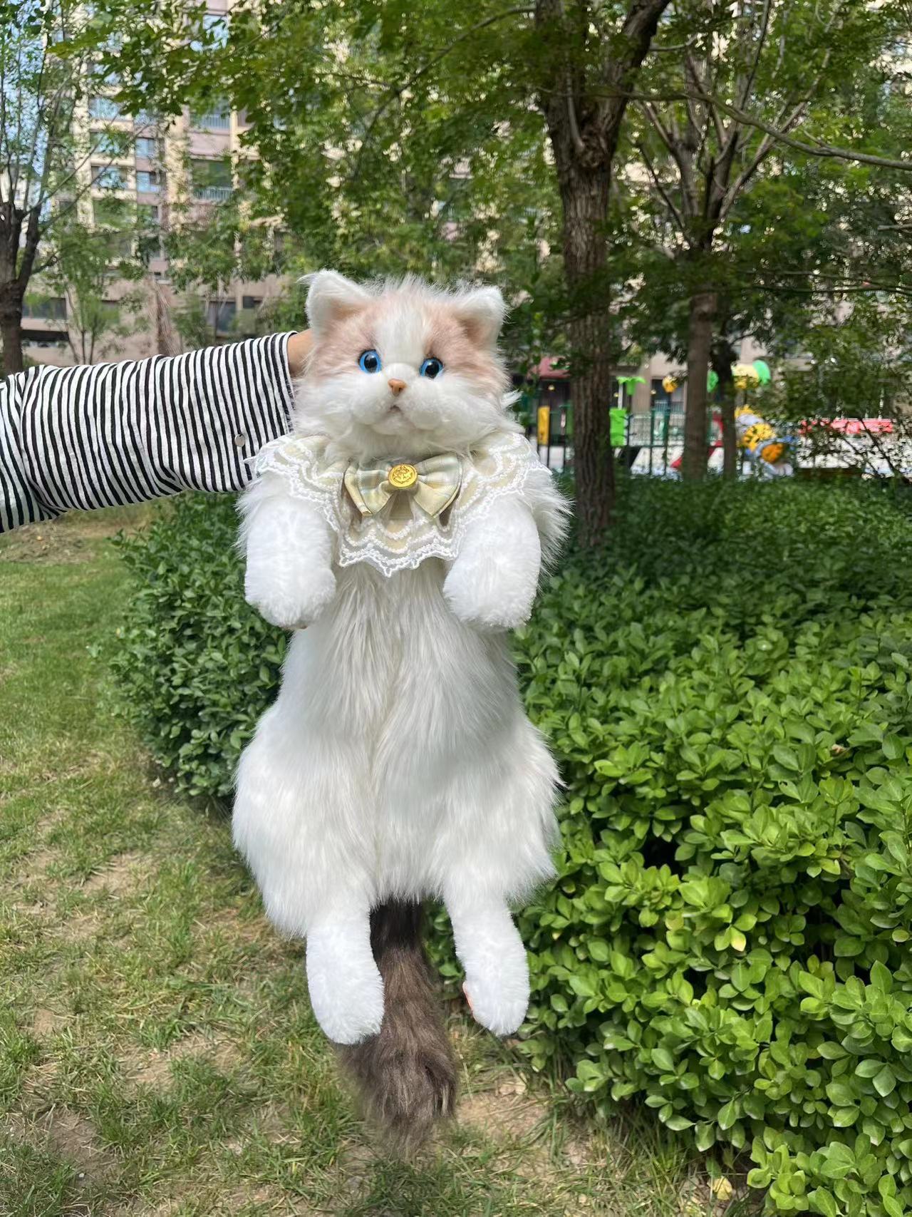 可爱萌趣仿真布偶猫宝宝玩偶双肩包三花猫毛绒包单肩女孩斜挎背包详情4